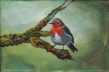 robin1