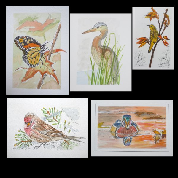 cards2