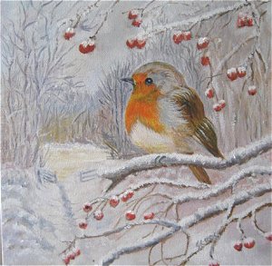english_robin