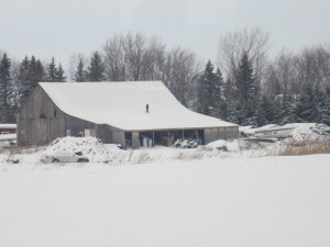 barn1a