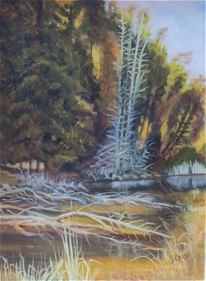 muskeg