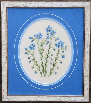 blueflax1_8362a_300