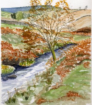 Yorkshiremoors